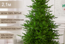 Photo of История возникновения Империи элок