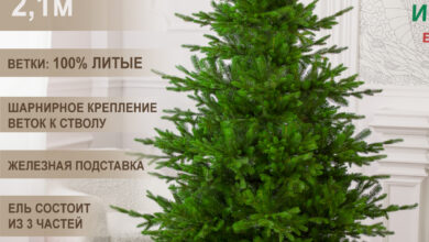 Photo of История возникновения Империи элок