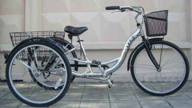 Photo of Особенности и происхождение серых велосипедов